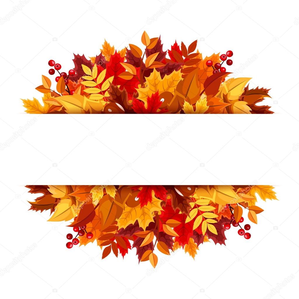 Autumn leaves background. Vector illustration.