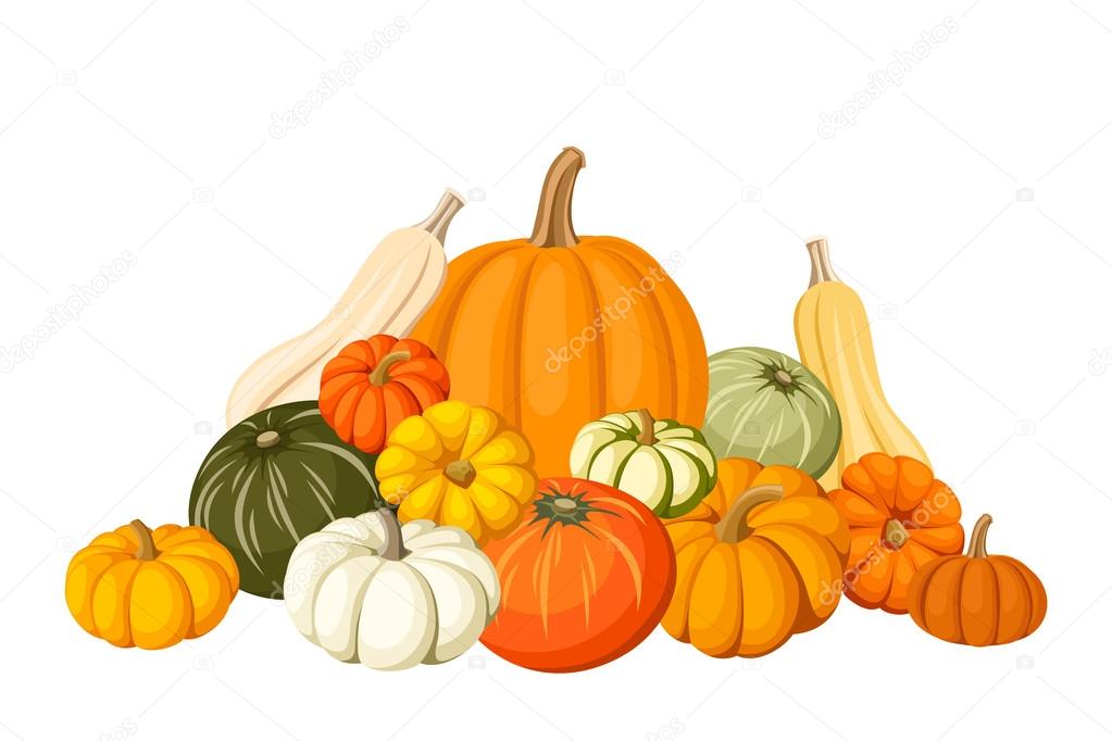 Pumpkins. Vector illustration.