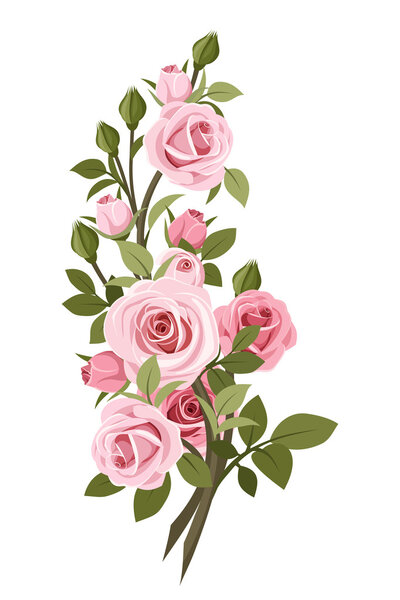Vintage pink roses branch. Vector illustration.