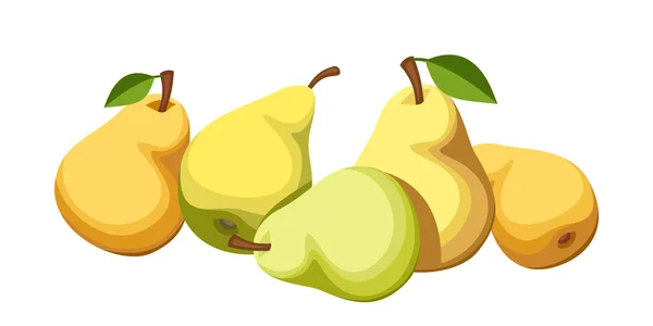 Five ripe pears. Vector illustration. — Stock Vector