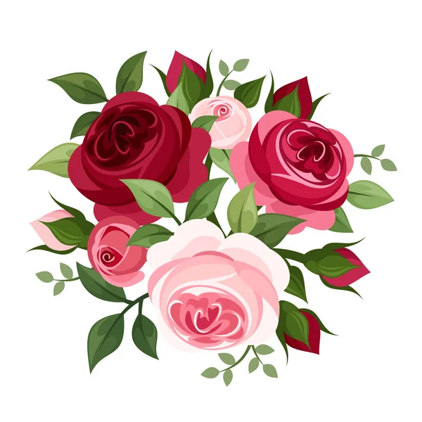 Rode en roze rozen. vectorillustratie. — Stockvector