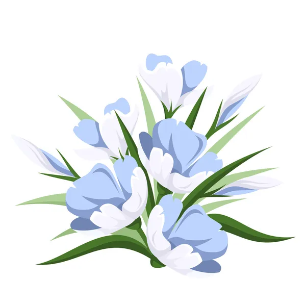 Blauwe crocus bloemen. vectorillustratie. — Stockvector