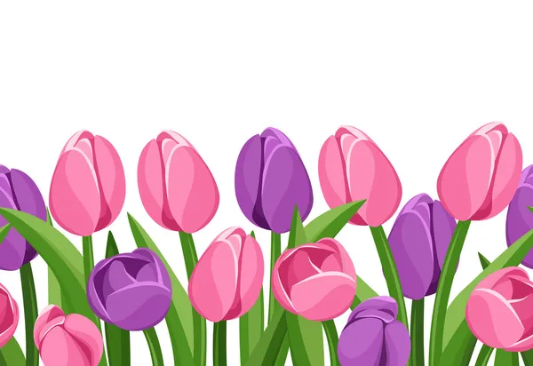 Poziomy bezszwowe tło z tulipanów. Ilustracja wektorowa. — Wektor stockowy