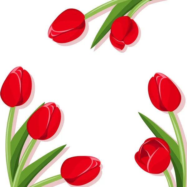 Fond avec des tulipes rouges. Illustration vectorielle . — Image vectorielle