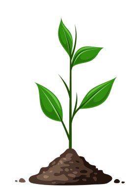 yerdeki yeşil sprout. vektör çizim.