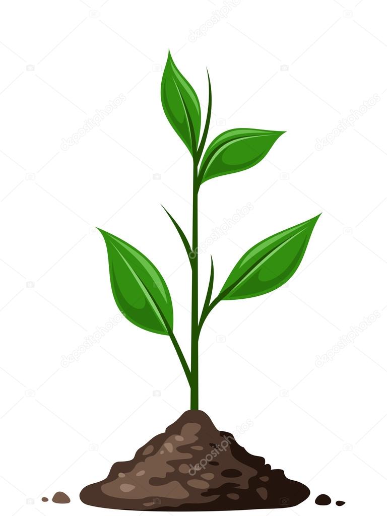 Green sprout in the ground. Vector illustration.
