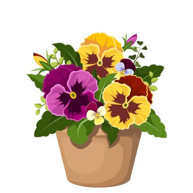 Pansy flowers in a pot. Vector illustration. clipart