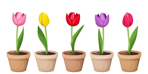 Tulipanes en macetas. Ilustración vectorial . — Vector de stock