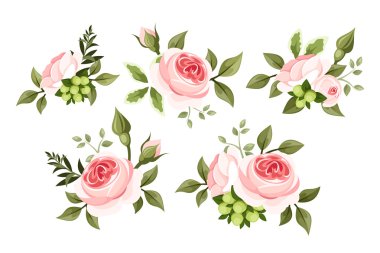 pembe Gül kümesi. vektör çizim.