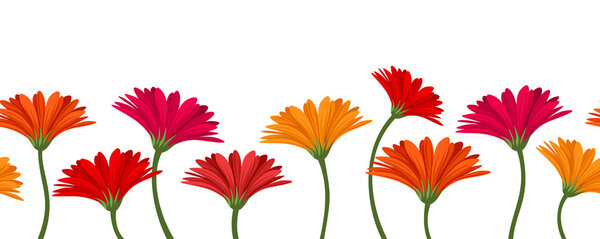 Horizontal seamless background with gerbera flowers. Vector illustration.