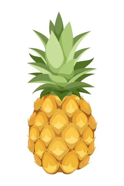 Piña. Ilustración vectorial . — Vector de stock