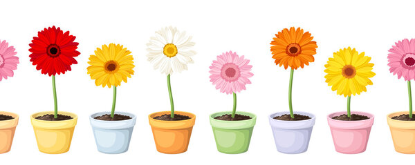 Gerbera in pots. Vector horizontal seamless background.