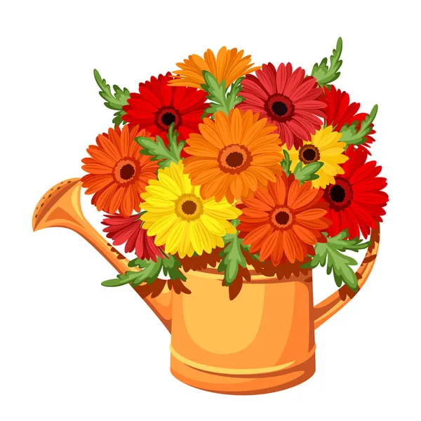 Strauß Gerbera-Blüten in der Gießkanne. Vektorillustration. — Stockvektor