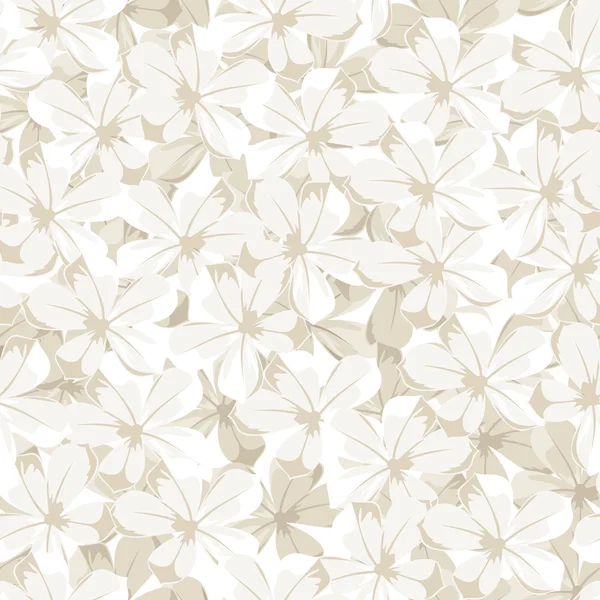 Fondo sin costuras con flores blancas. Ilustración vectorial . — Vector de stock