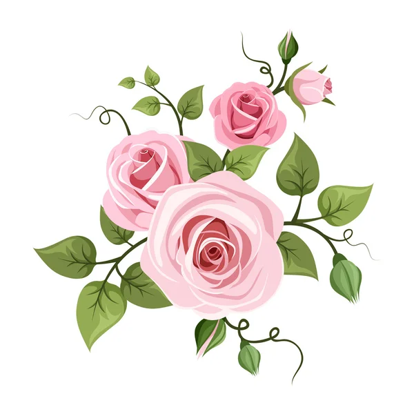 Rosas rosadas. Ilustración vectorial . — Vector de stock