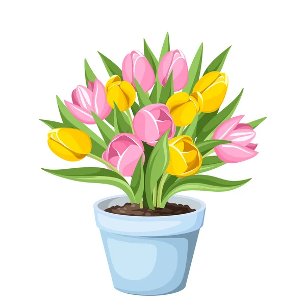 Flores de tulipán en una olla. Ilustración vectorial . — Vector de stock