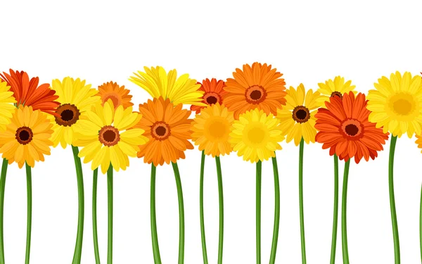 Fundo sem costura horizontal com flores de gerbera. Ilustração vetorial . —  Vetores de Stock