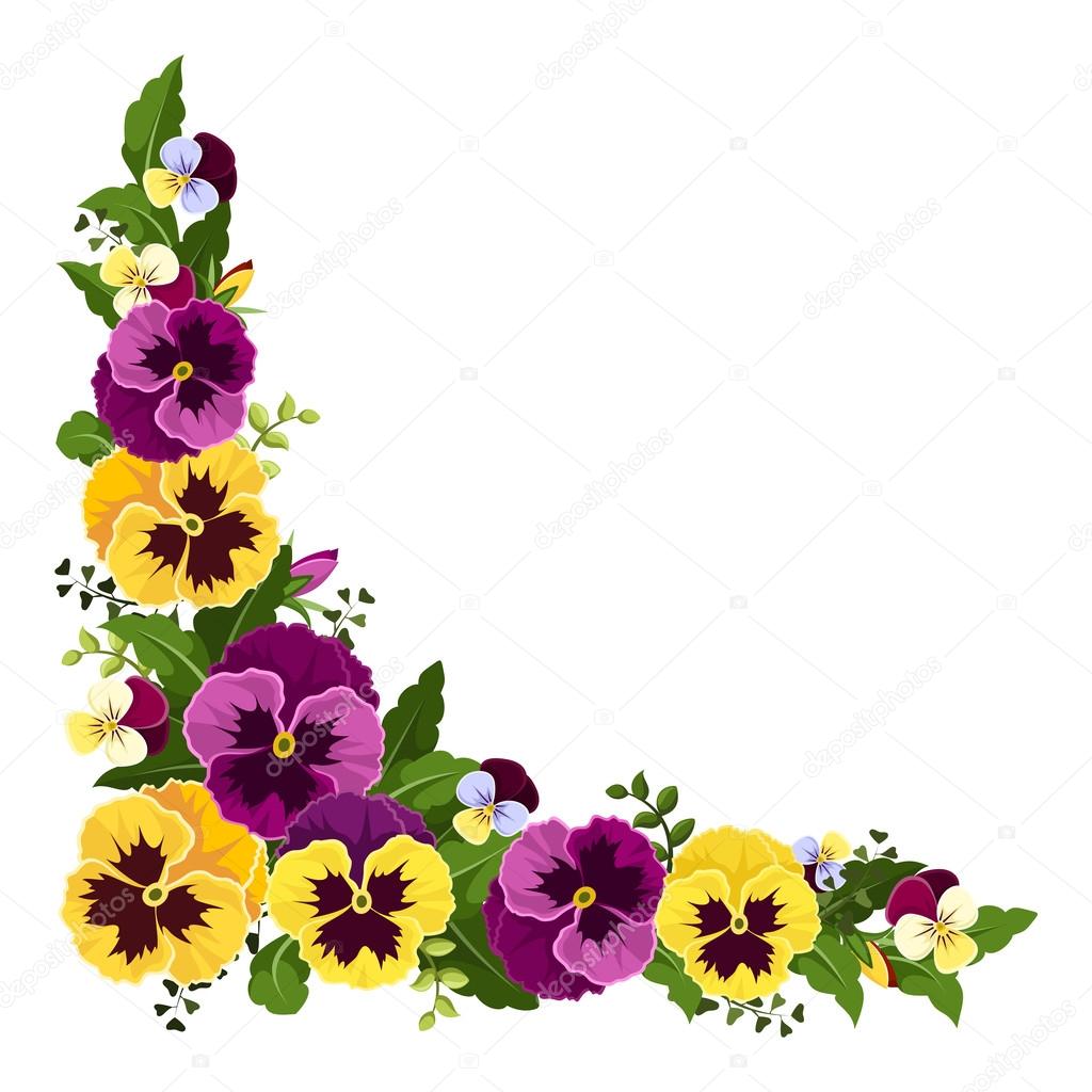 Corner background with pansy flowers. Vector illustration.