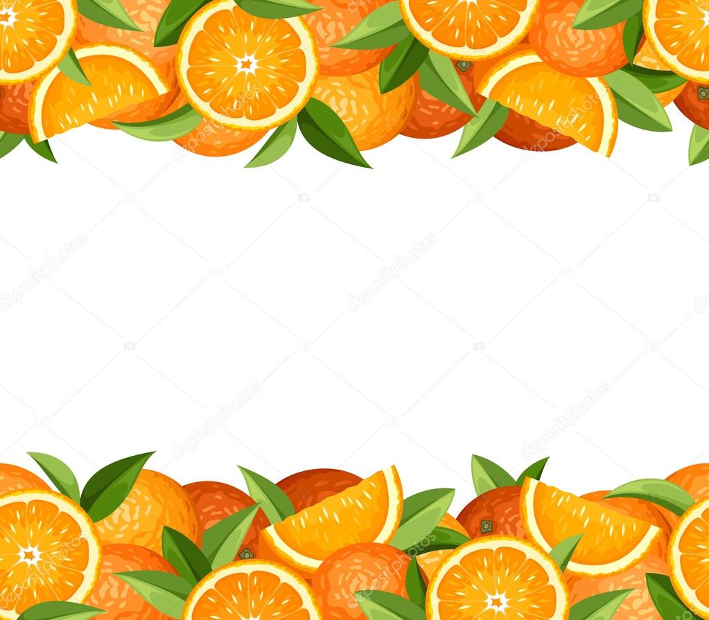 Horizontal seamless frame with oranges. Vector illustration.