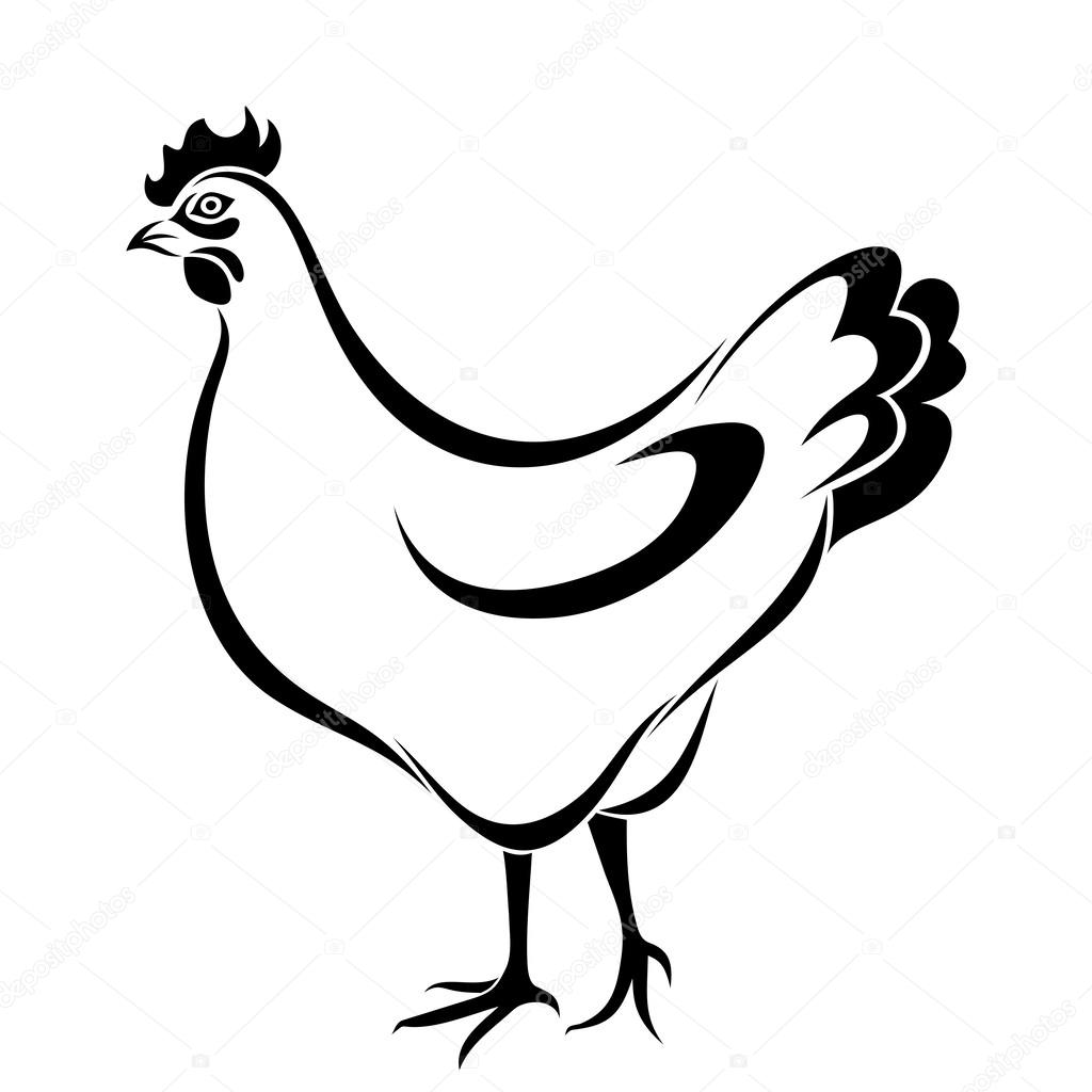 Hen. Vector black silhouette.