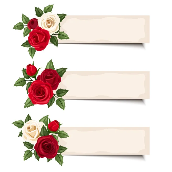 Três banners vetoriais com rosas vermelhas e brancas . —  Vetores de Stock