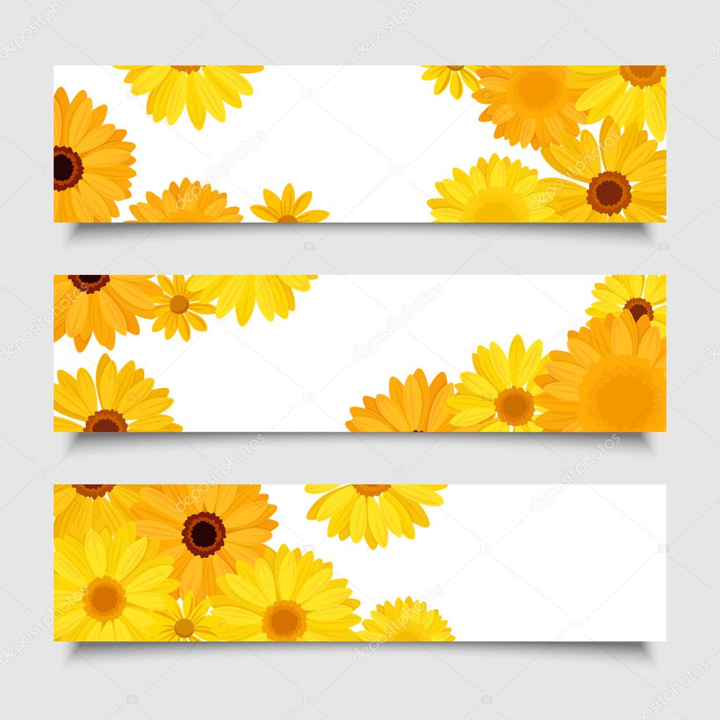 Three vector banners with orange and yellow gerbera flowers.