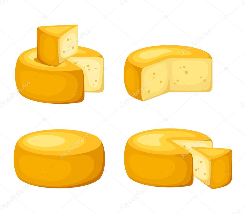 Set of cheeses. Vector illustration.