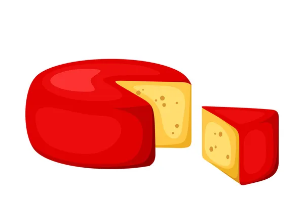 Roda de queijo. Ilustração vetorial . —  Vetores de Stock