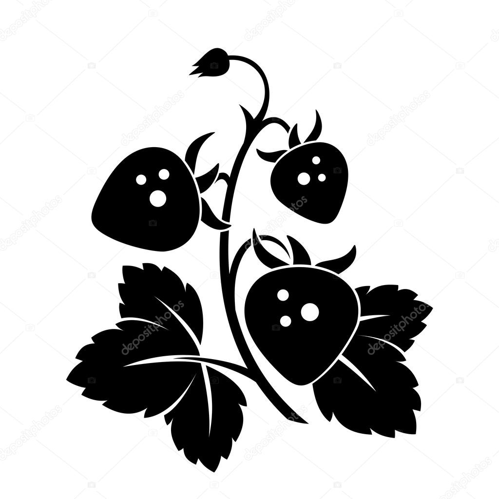 Branch of wild strawberry. Vector black silhouette.