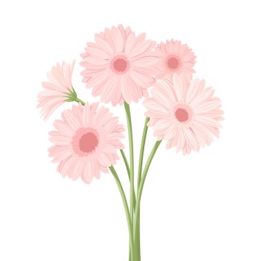 pembe gerbera çiçekleri buketi. vektör çizim.