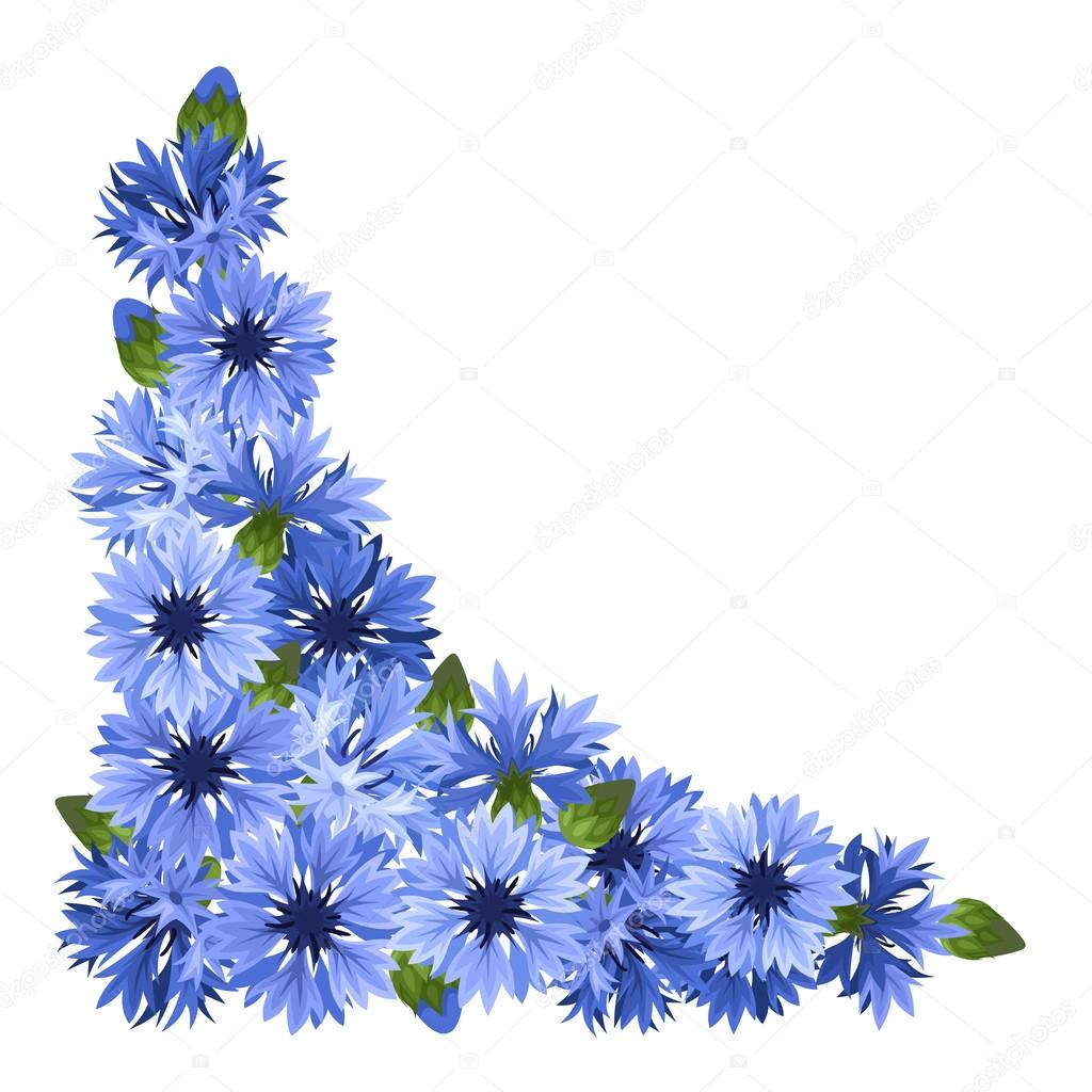 Blue cornflowers corner. Vector illustration.