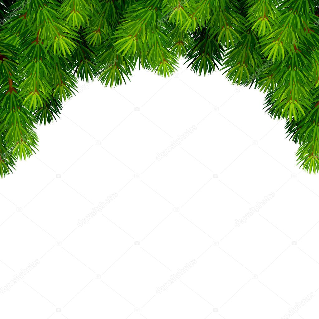 Vector background frame with green fir branches on white.
