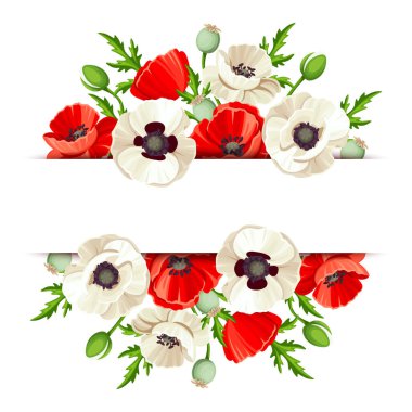 Kırmızı ve beyaz gelincik çiçekli vektör pankartı