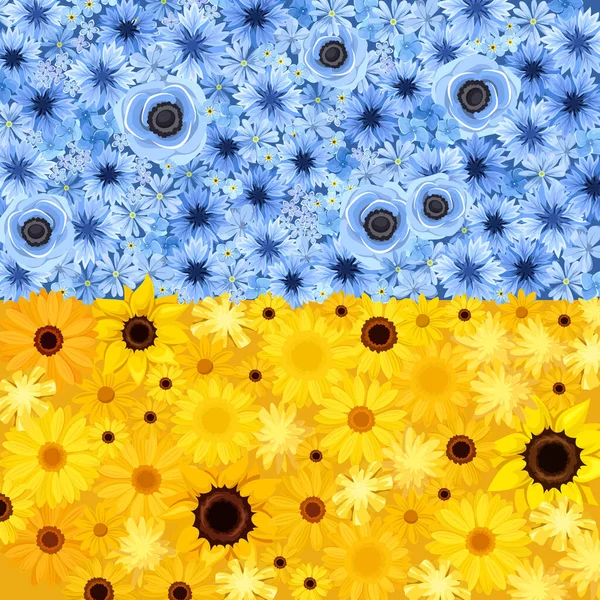 Flowers Background Colors Ukrainian Flag Vector Blue Yellow Background Sunflowers — Stock Vector