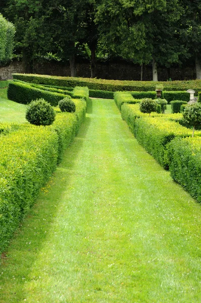 Francja, francuski formalny ogród w domaine de villarceaux — Zdjęcie stockowe