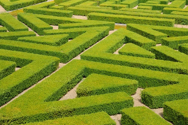 Francia, giardino francese nel Domaine de Villarceaux — Foto Stock