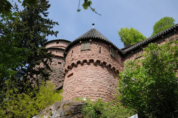 France, Haut Koenigsbourg castle in Elsace — стоковое фото