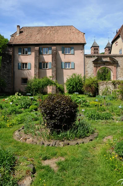 France, the roman abbey of Murbach in Alsace — Stock Photo, Image