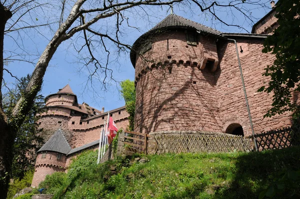 Francie, haut koenigsbourg hrad v Alsasku — Stock fotografie