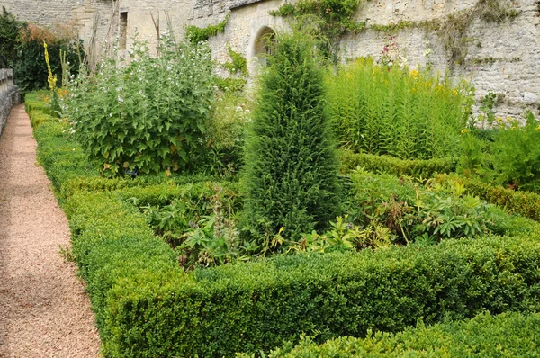 Francia, Jardín formal francés en el Domaine de Villarceaux —  Fotos de Stock
