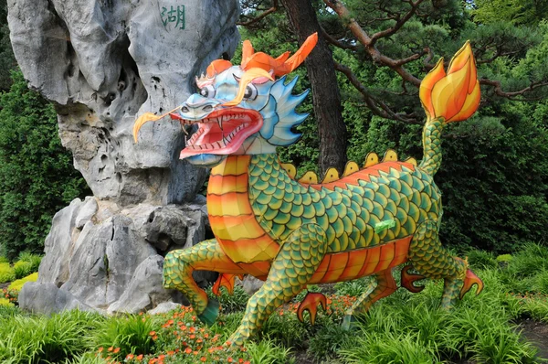 Kanada, papír dragouna v botanické zahradě Montrealu — Stock fotografie