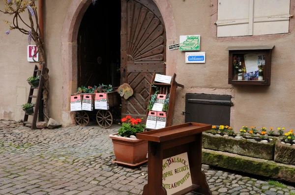 Il piccolo villaggio di Riquewihr in Alsazia — Foto Stock