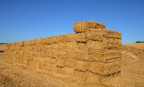 Bales of straw in a field in Jumeauville — Stock Photo, Image