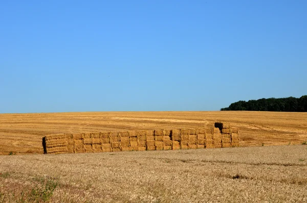 Jumeauville 内のフィールドに藁の俵 — ストック写真