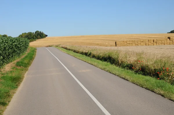 Frankreich, eine landstraße in jumeauville — Stockfoto