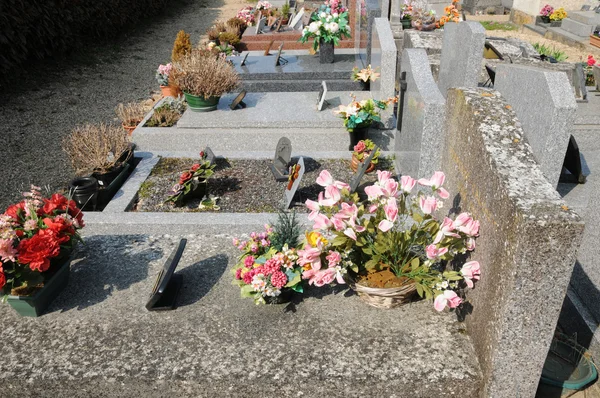 Франция, кладбище Кондекур в Валь-д "Уаз — стоковое фото