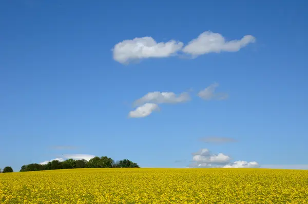 Týkající se znásilnění v boisemont — Stock fotografie