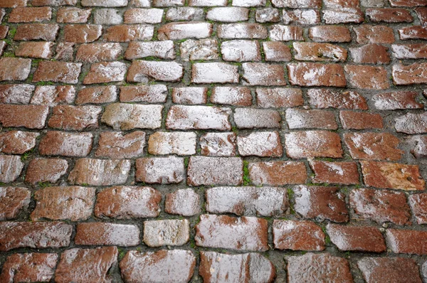 Pavimentazione in pietra bagnata in una strada dell'Alsazia — Foto Stock