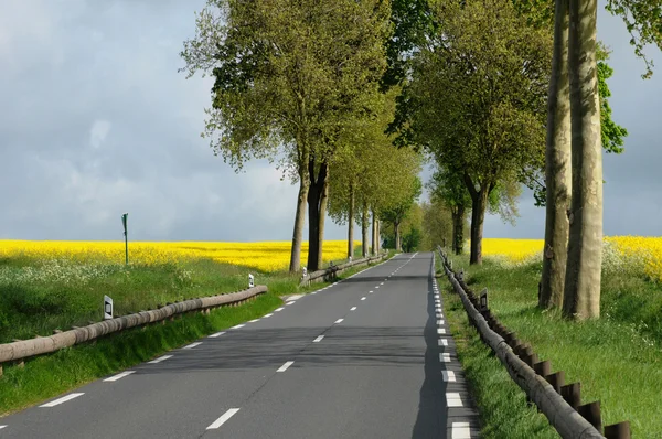 Ile de France, Maudetour, une route de campagne dans le Val d'Oise — Photo