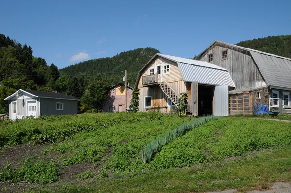 Quebec, the village of Sainte Rose du Nord — Stock Photo, Image